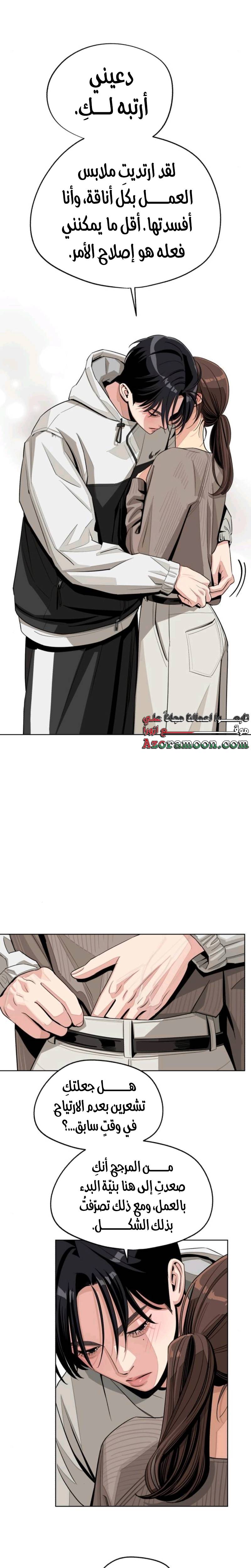 الصفحة 17