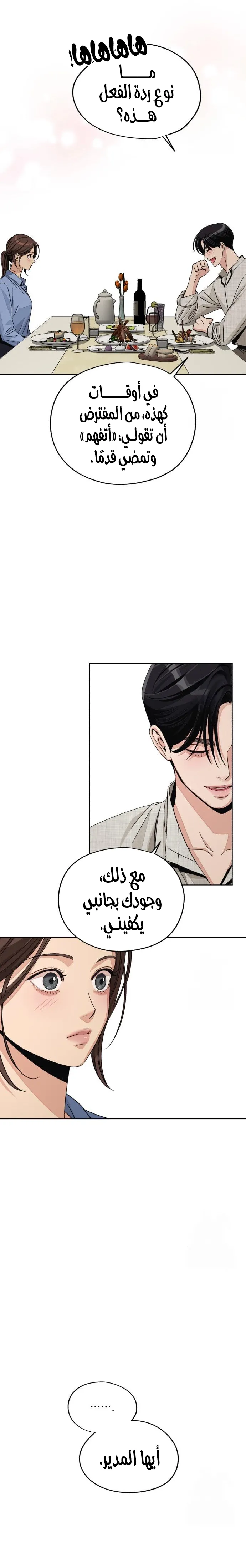 الصفحة 17