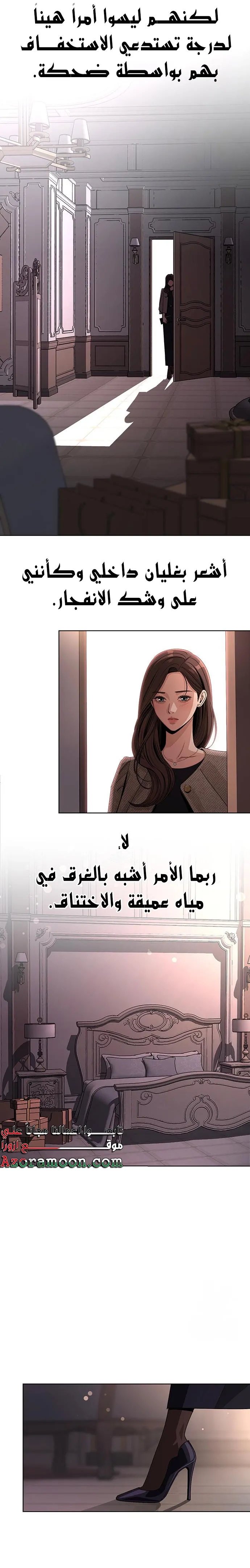 الصفحة 17