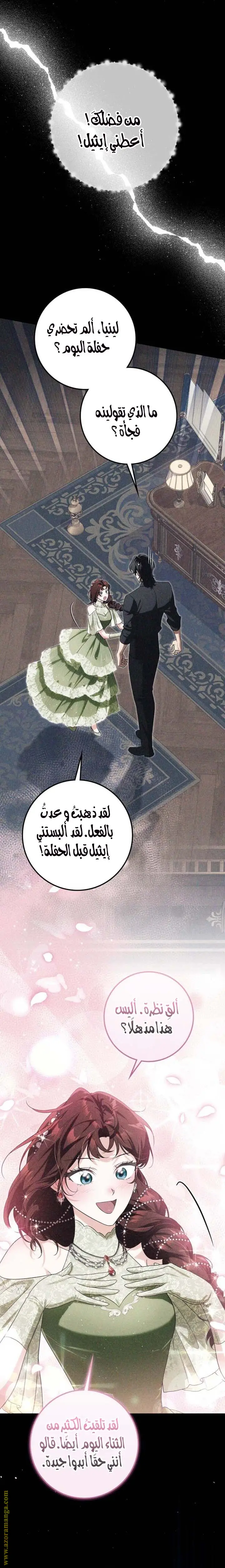 الصفحة 17