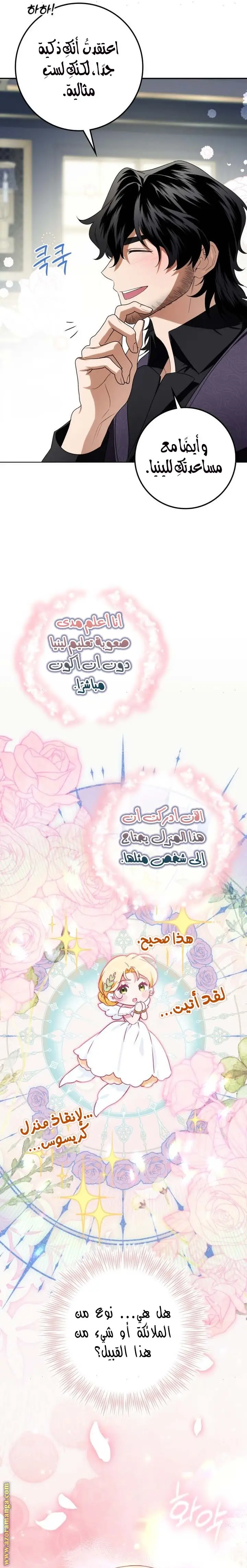 الصفحة 26