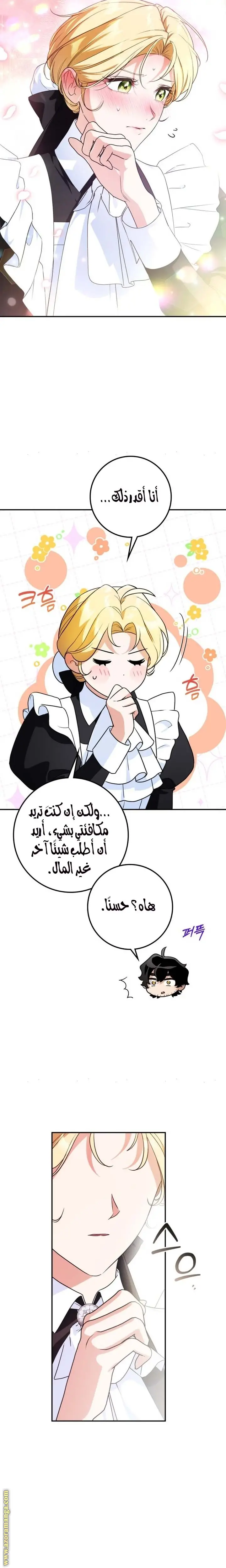 الصفحة 27