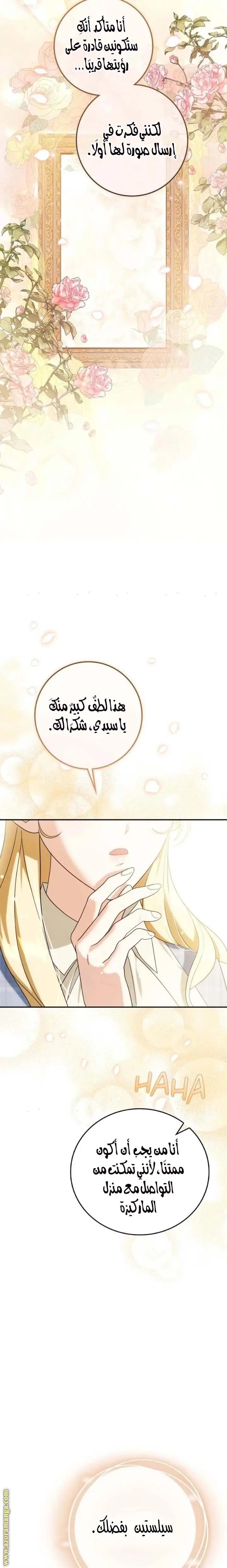 الصفحة 26