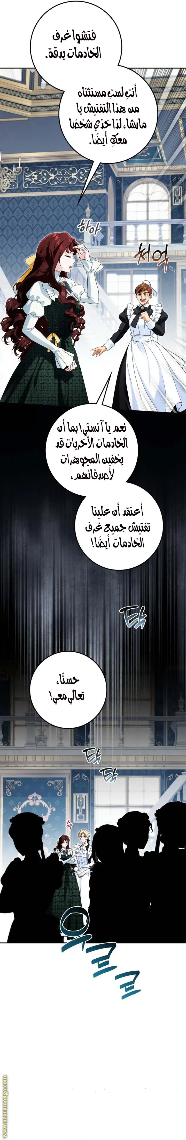 الصفحة 17