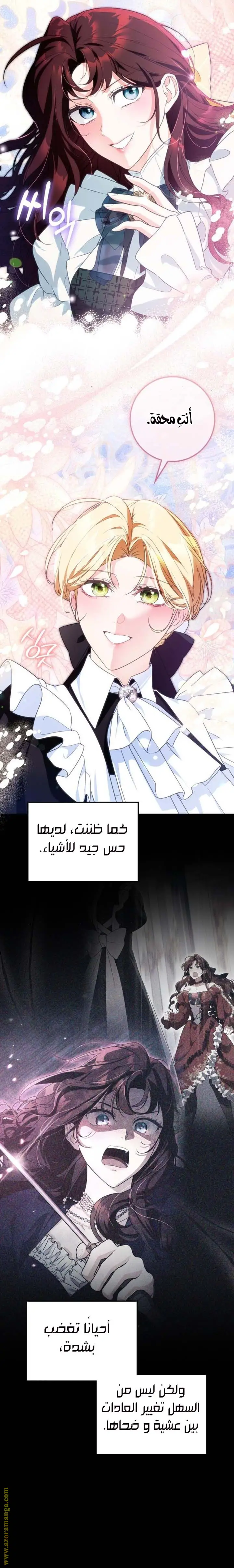 الصفحة 19