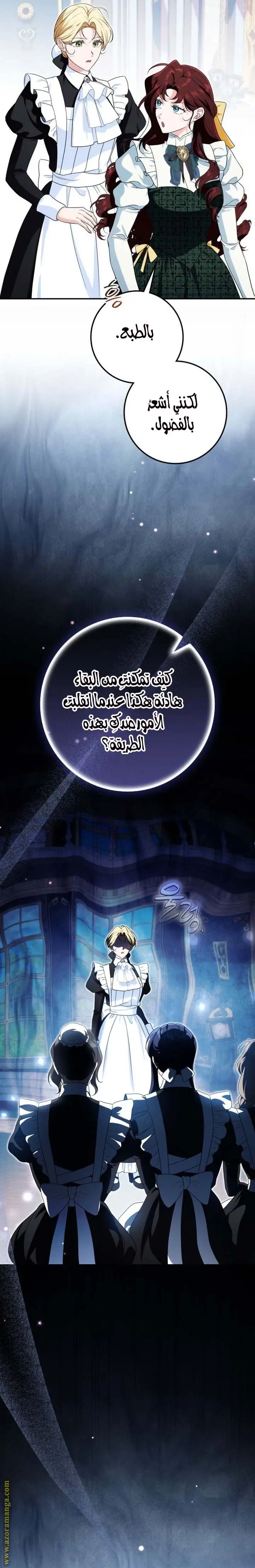 الصفحة 29