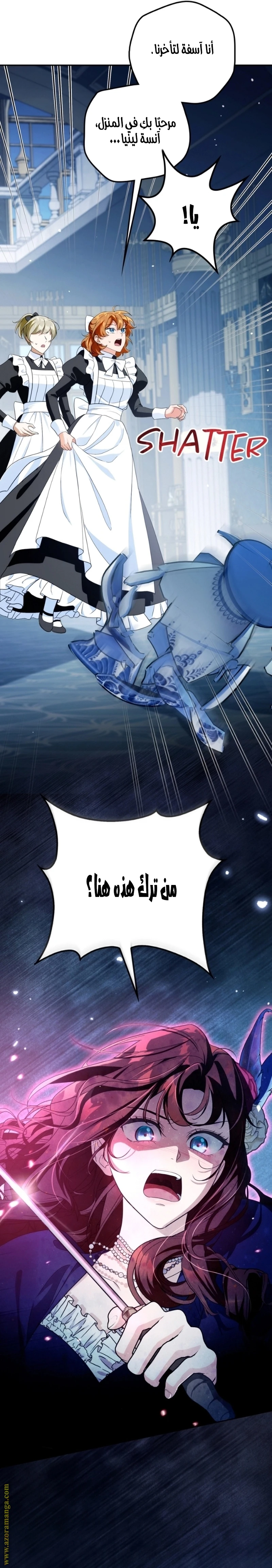 الصفحة 14