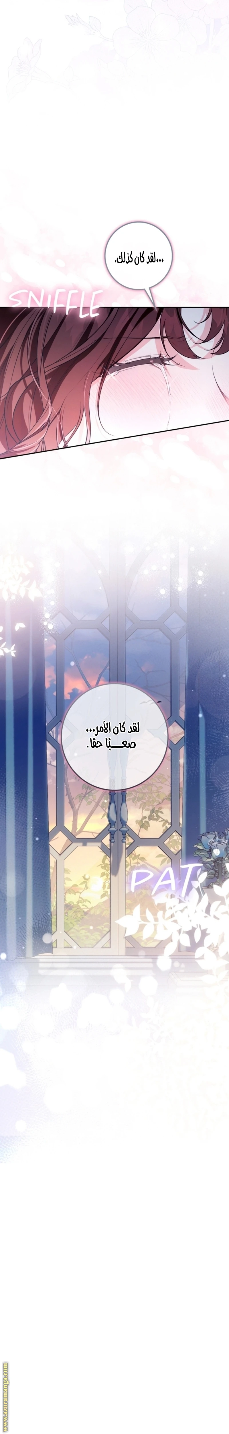 الصفحة 27