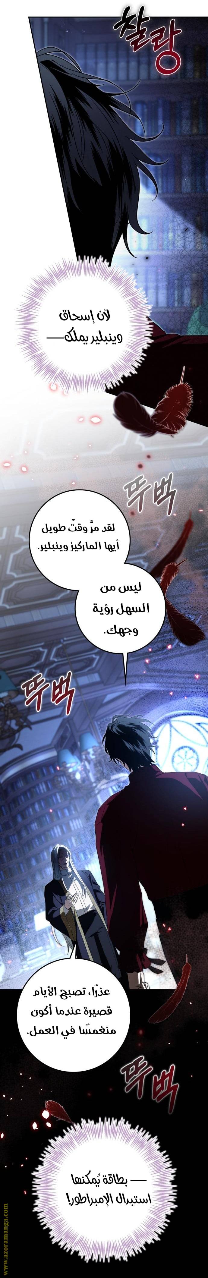 الصفحة 17