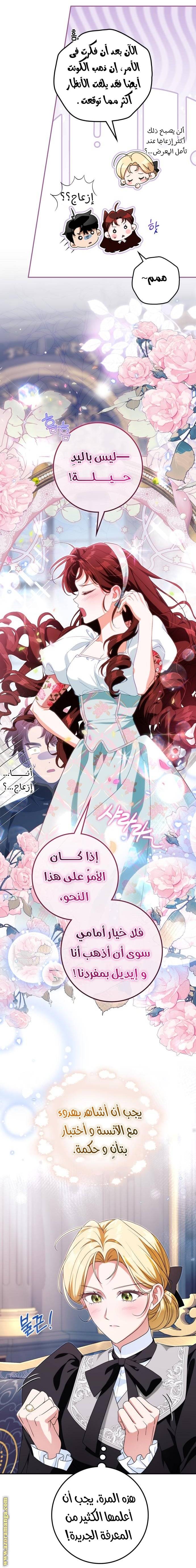الصفحة 22