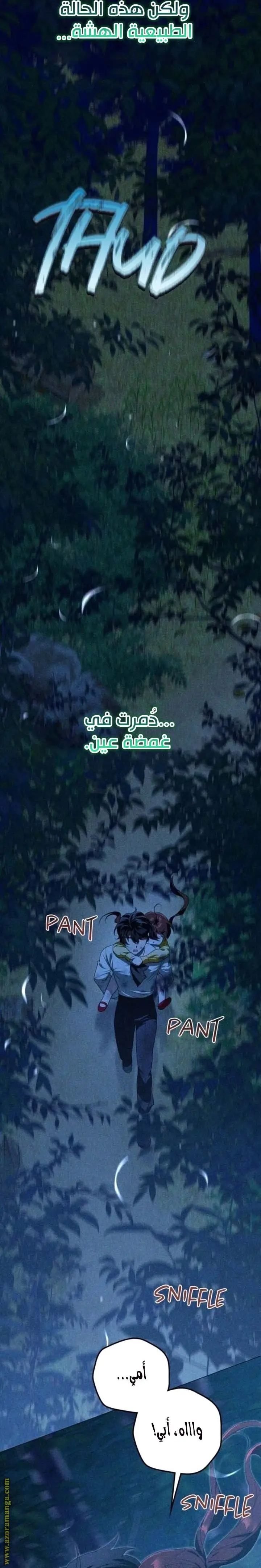 الصفحة 19