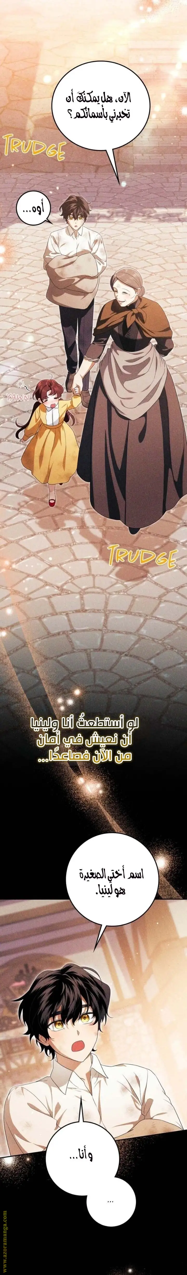 الصفحة 25