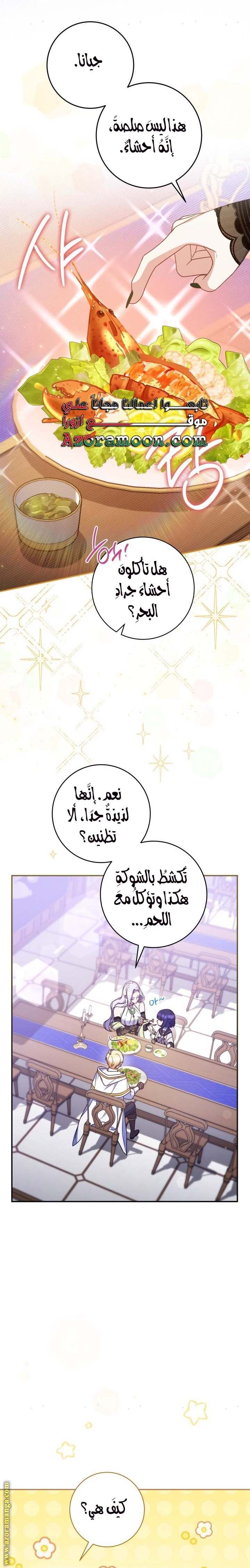 الصفحة 17