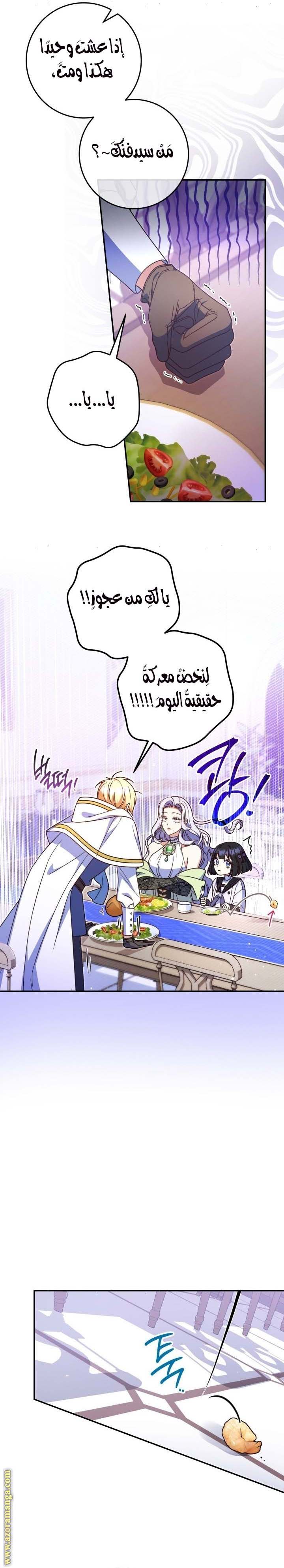 الصفحة 20