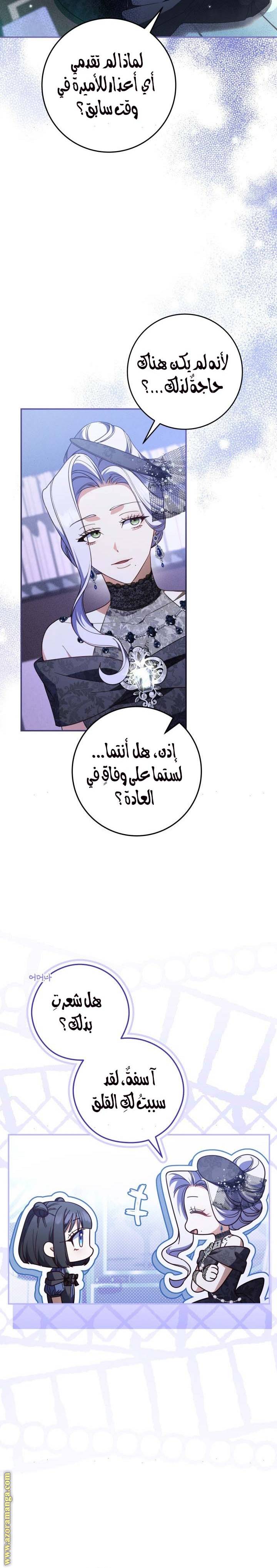 الصفحة 13