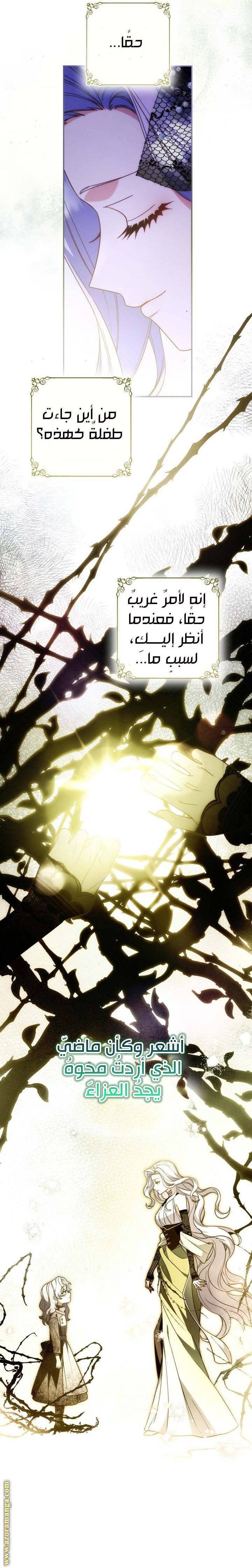 الصفحة 23