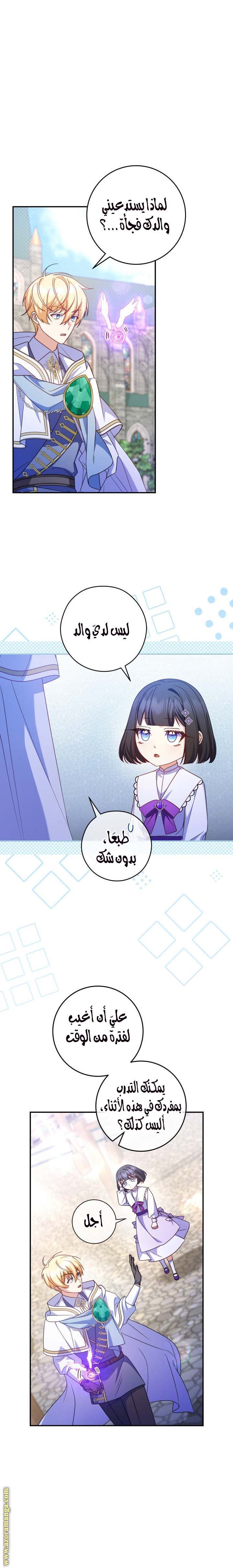 الصفحة 17