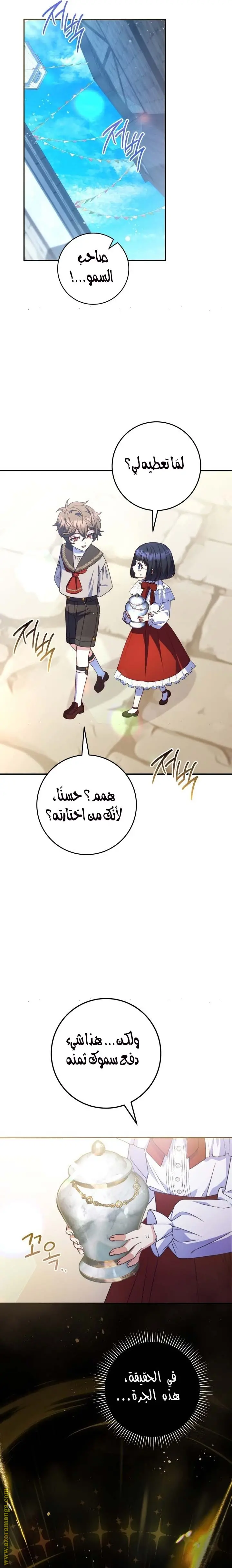 الصفحة 17
