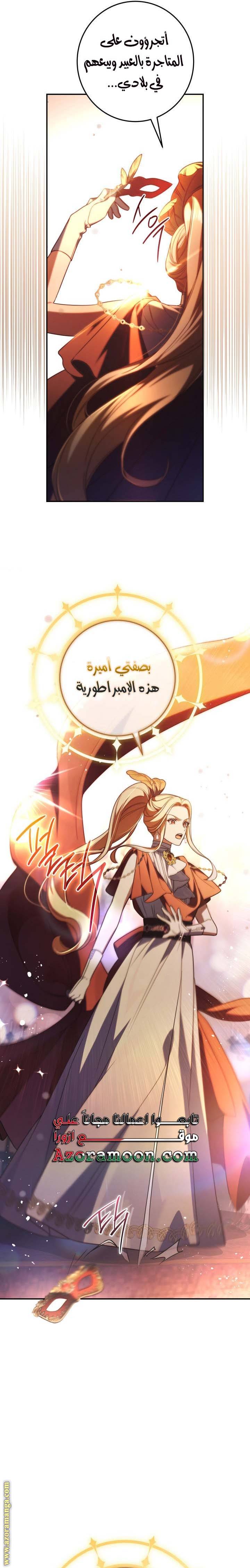 الصفحة 17