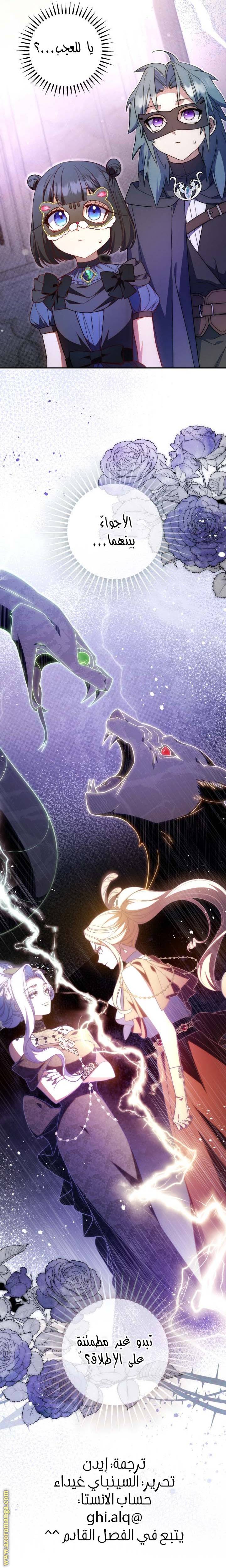 الصفحة 25