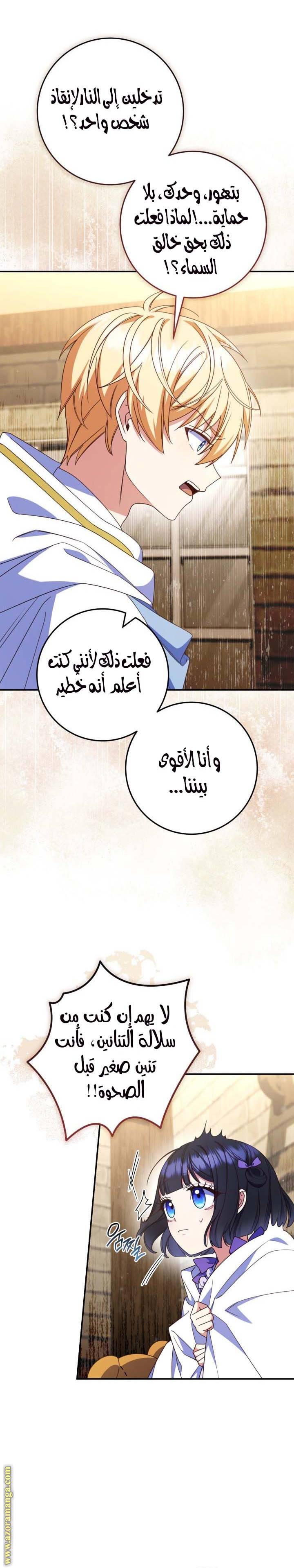 الصفحة 17