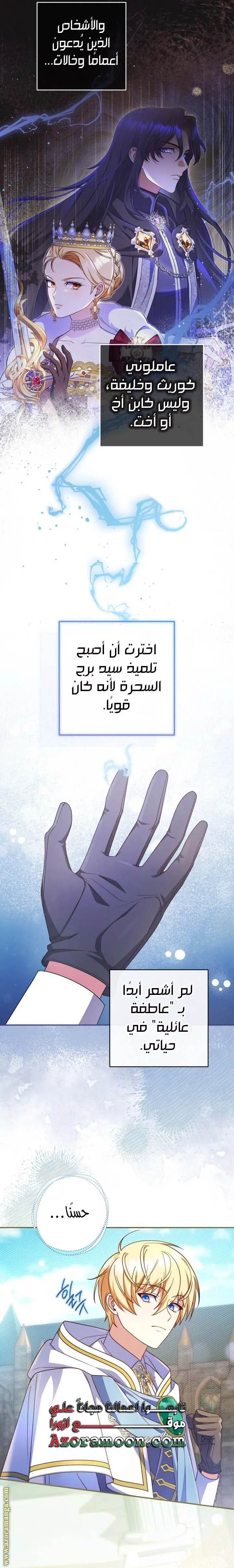 الصفحة 17