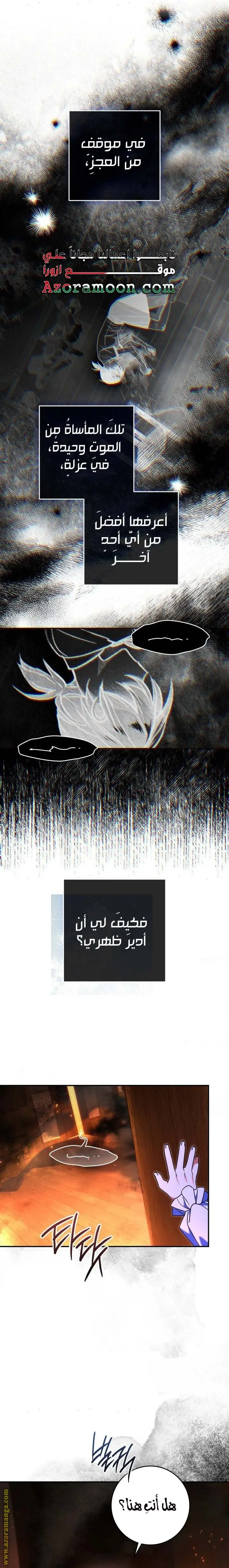 الصفحة 13