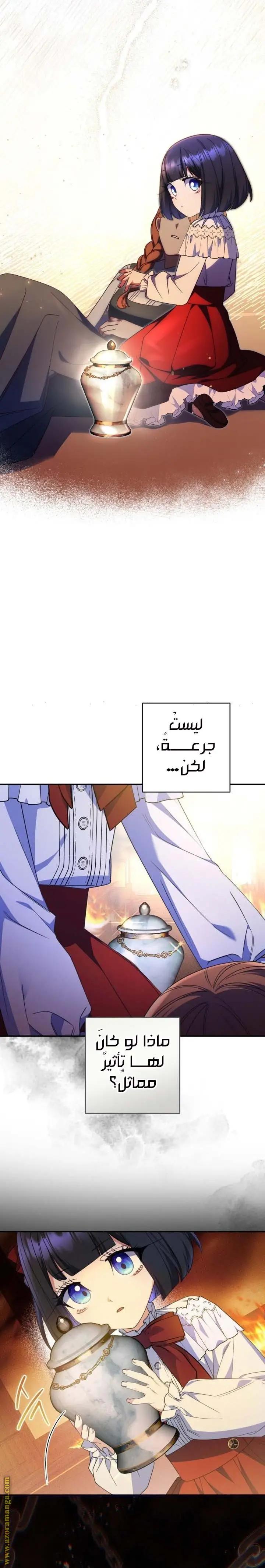 الصفحة 17