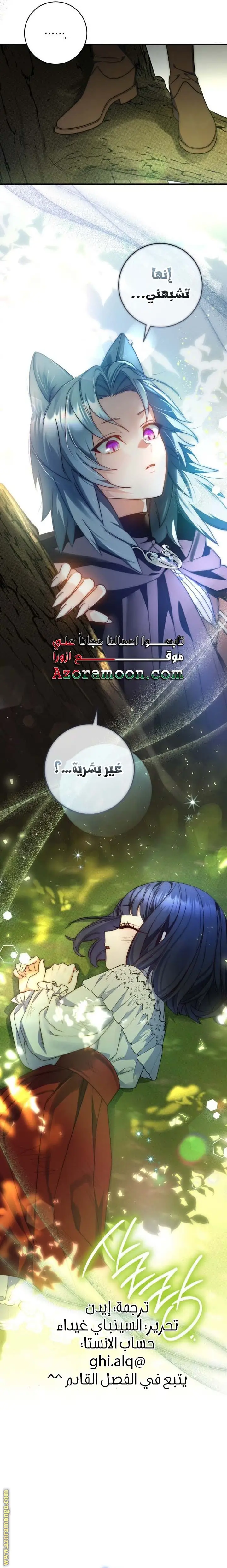 الصفحة 27