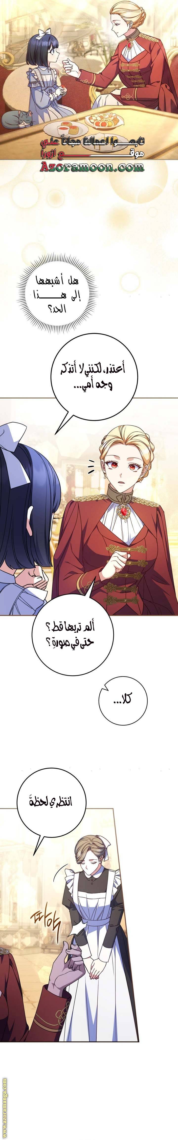 الصفحة 17