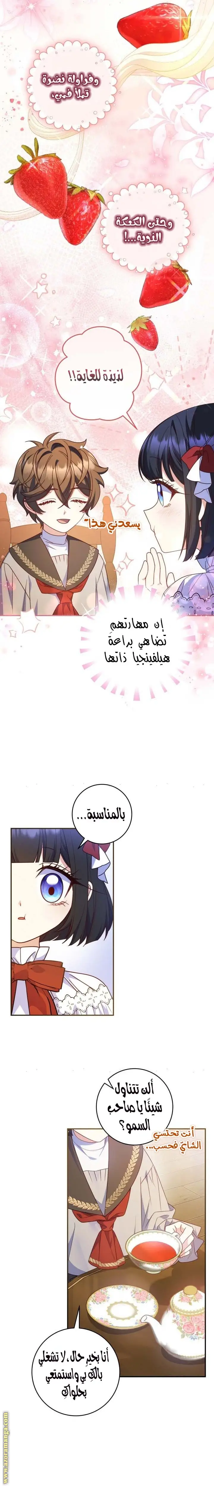 الصفحة 13
