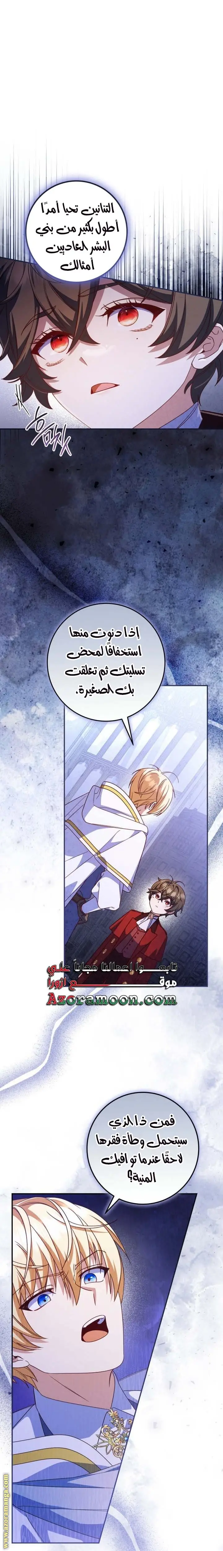 الصفحة 17