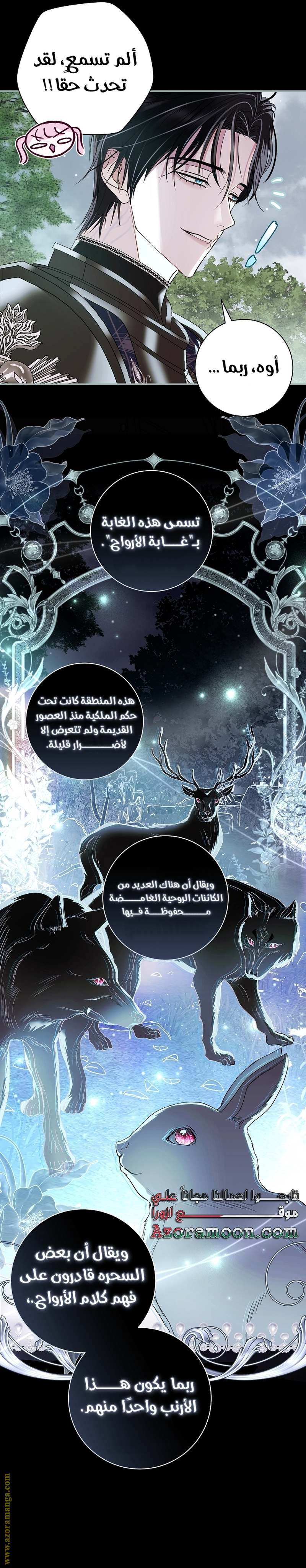 الصفحة 19