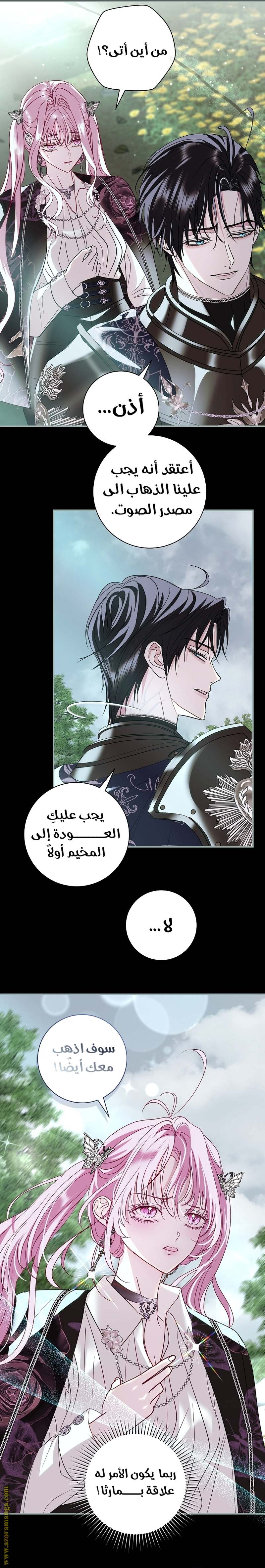 الصفحة 21
