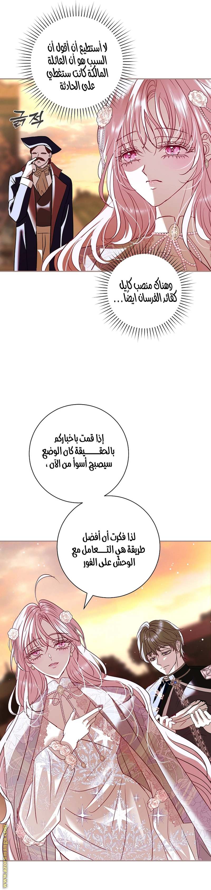 الصفحة 16