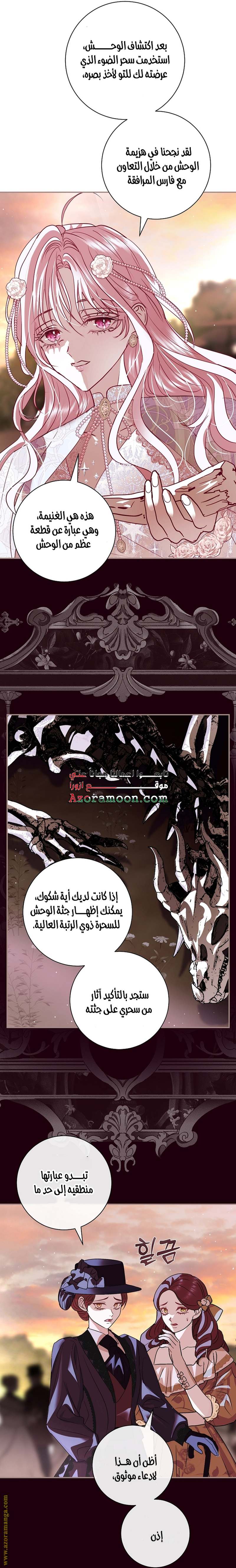 الصفحة 17