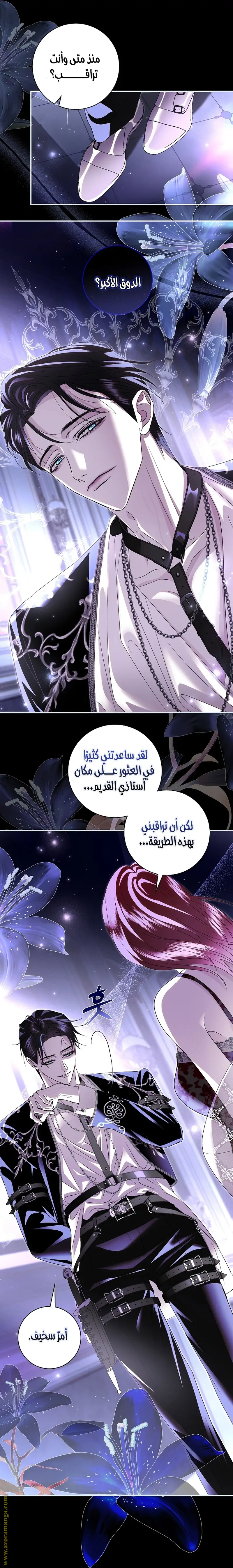 الصفحة 13