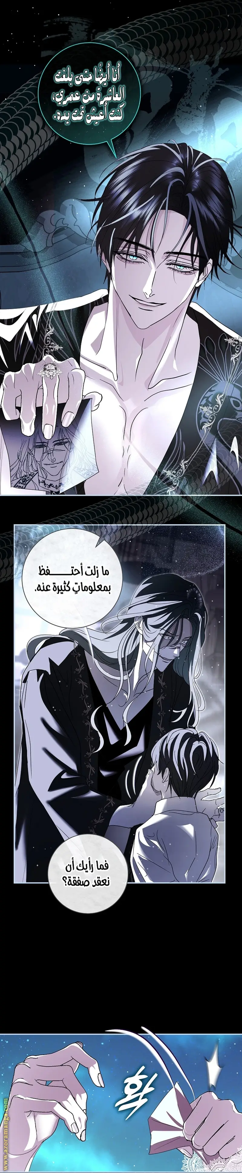 الصفحة 17