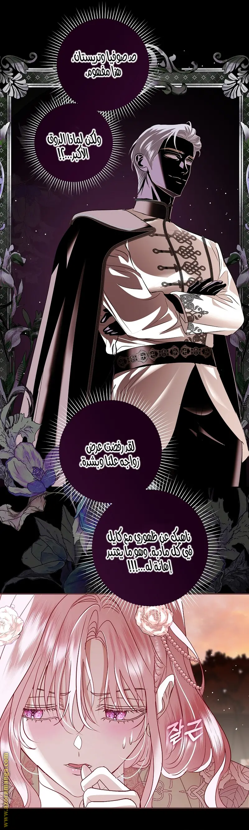 الصفحة 11