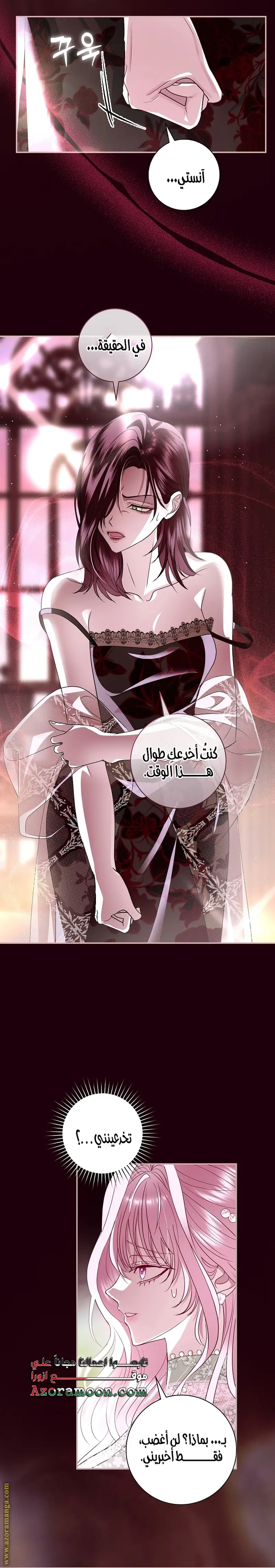 الصفحة 13