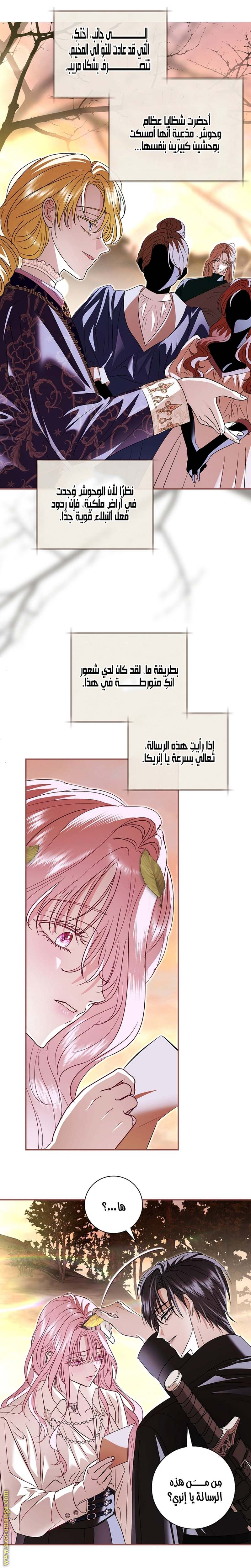 الصفحة 5