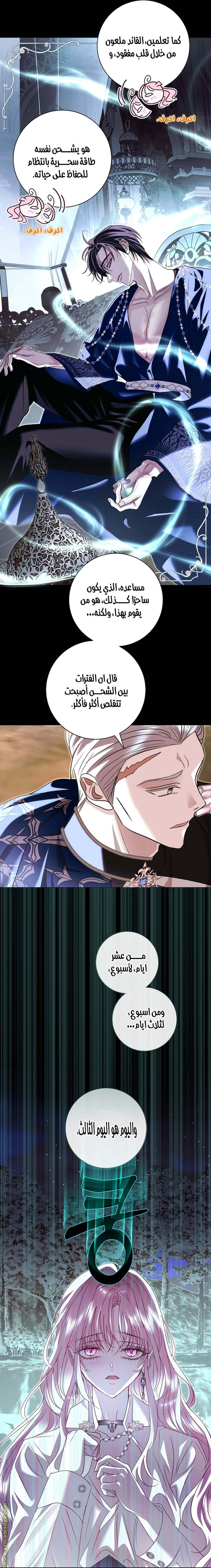 الصفحة 11