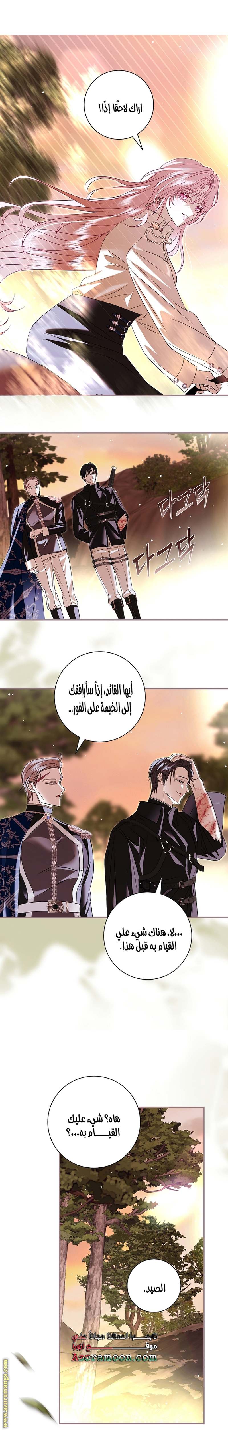 الصفحة 17