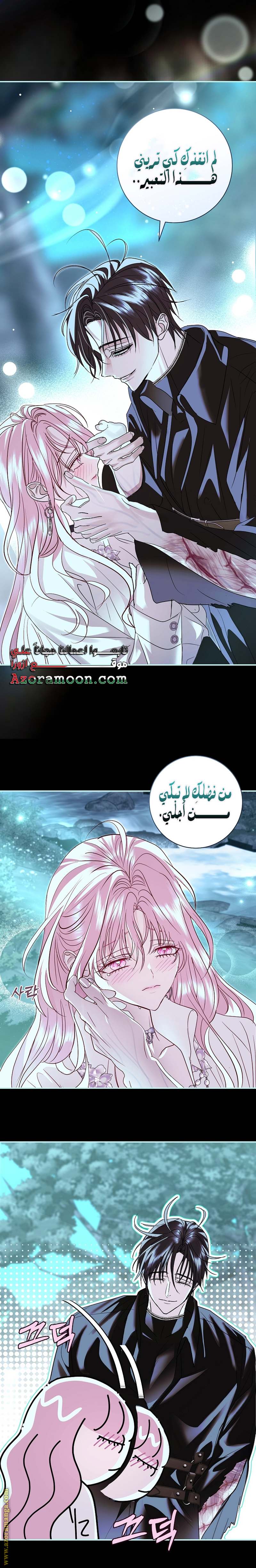 الصفحة 13