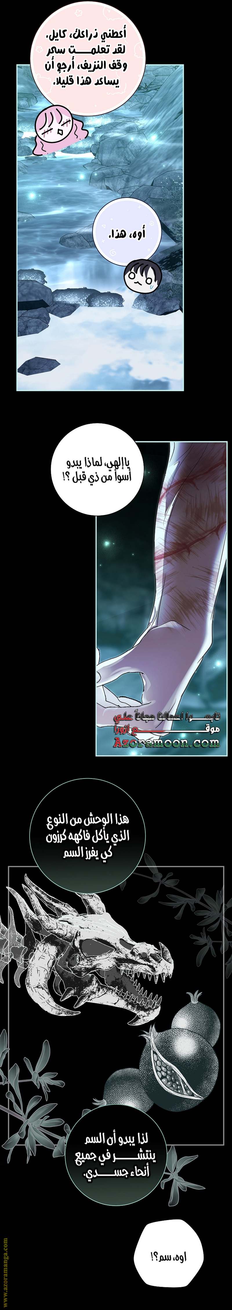 الصفحة 14
