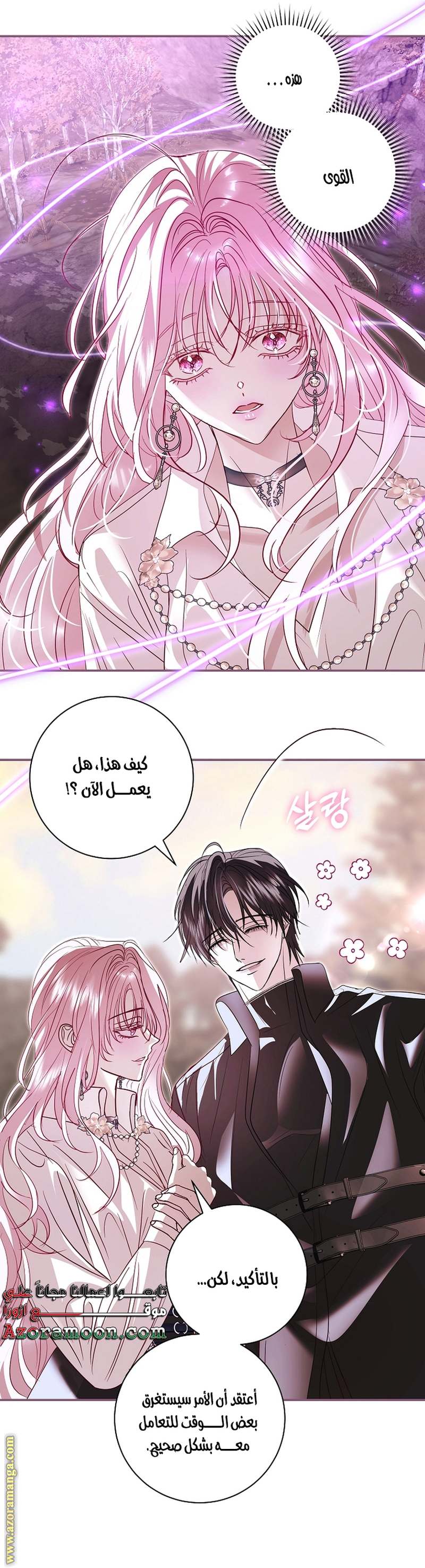 الصفحة 12