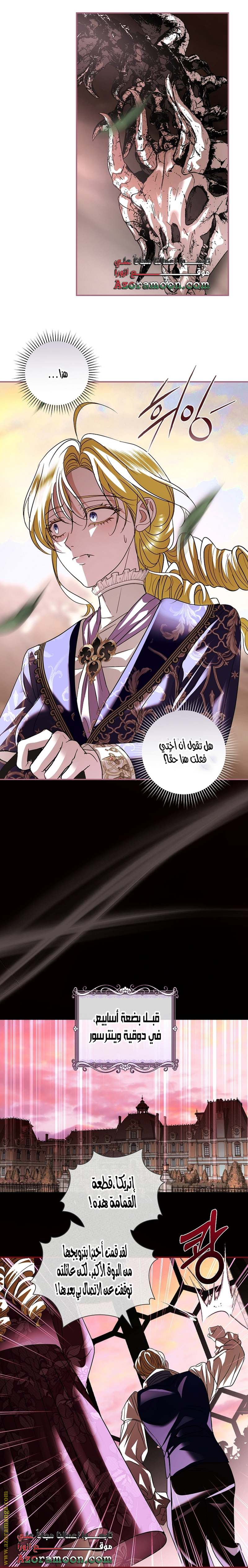 الصفحة 17