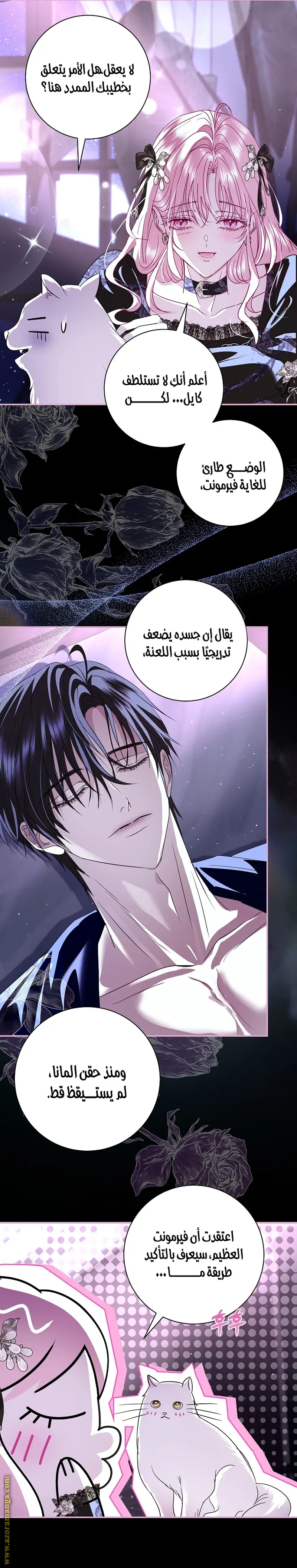 الصفحة 8