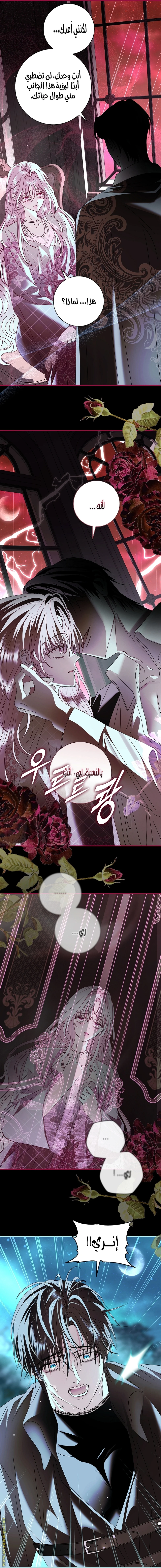 الصفحة 21