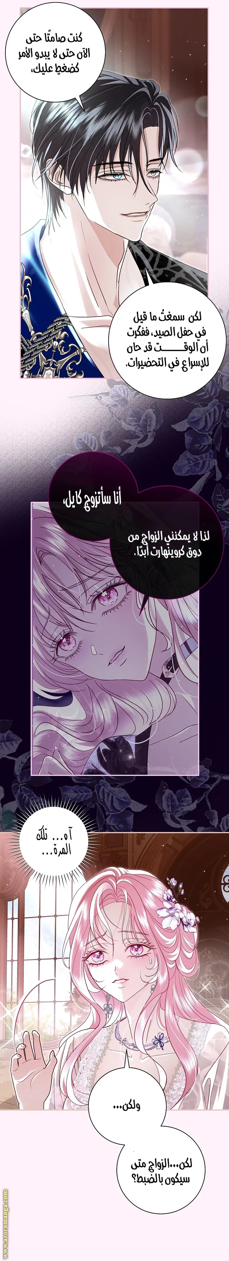 الصفحة 3